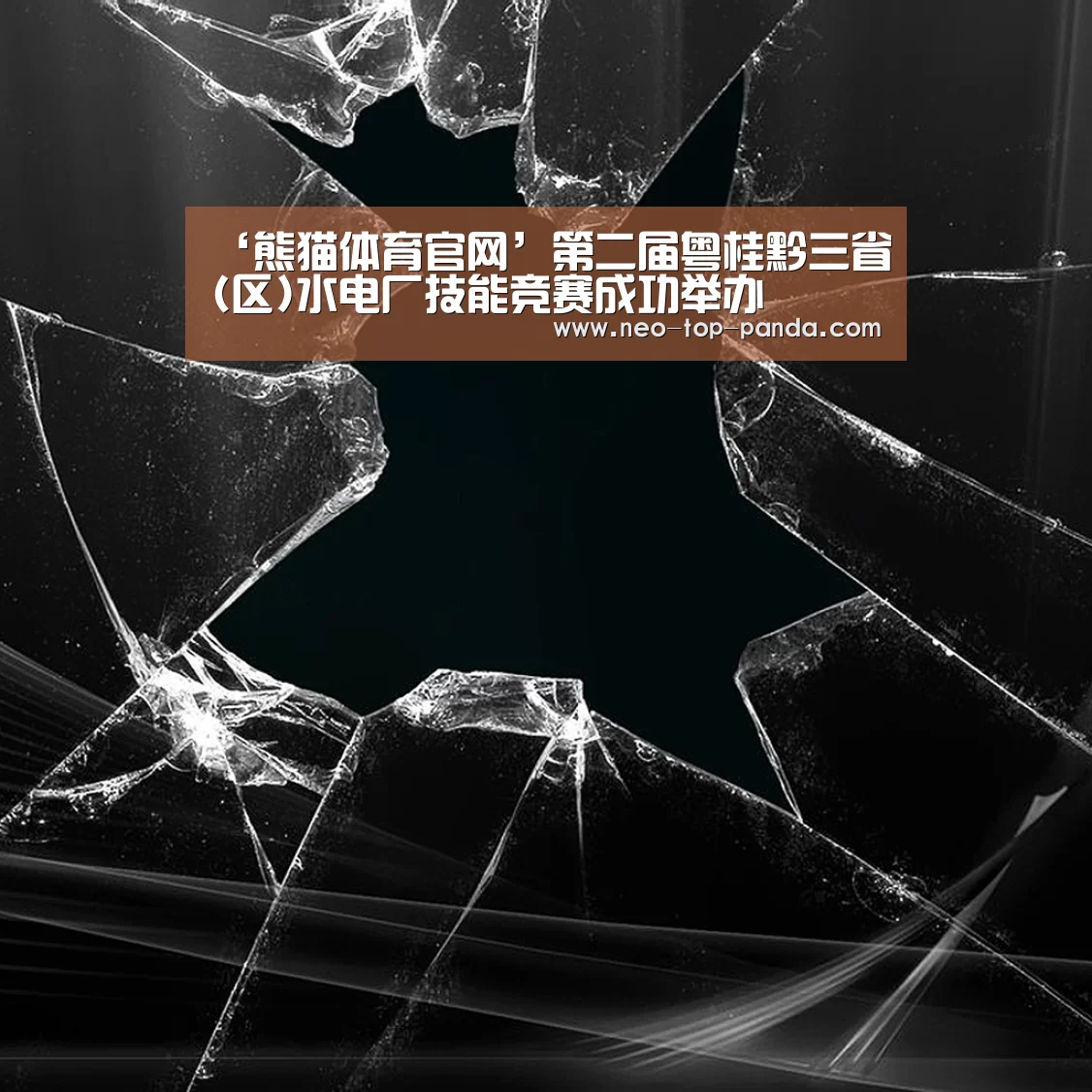 熊猫体育
