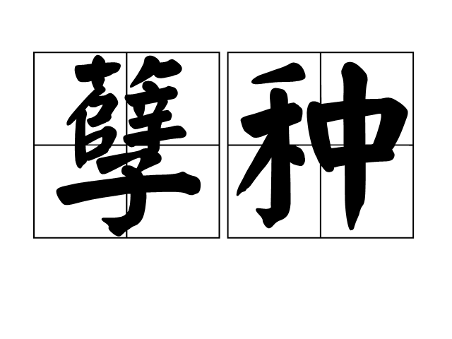 熊猫赛事