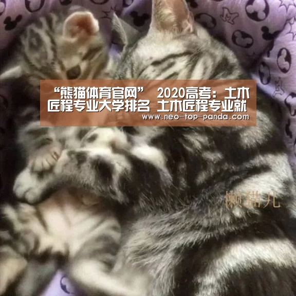 熊猫赛事